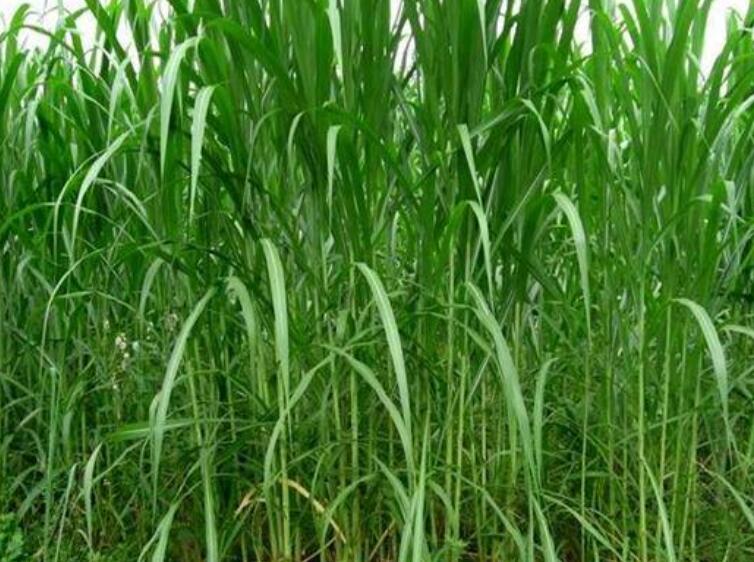 1646626866651499.jpg 1.jpg