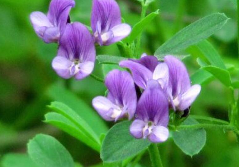 1646626884356361.jpg 3.jpg