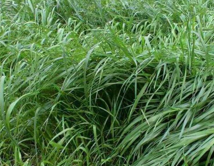 1646709751577085.jpg 3.jpg