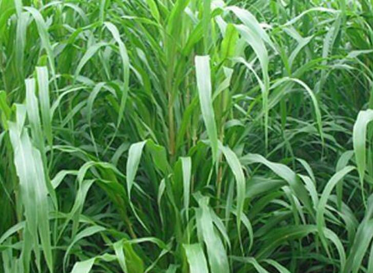 1646709808438098.jpg 1.jpg