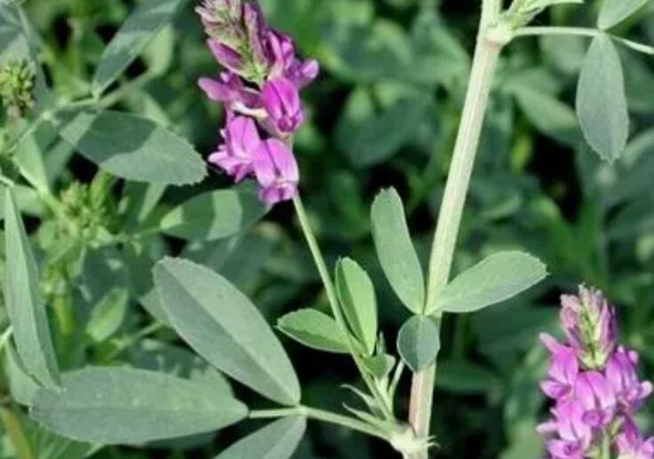 1646743141521249.jpg 1.jpg