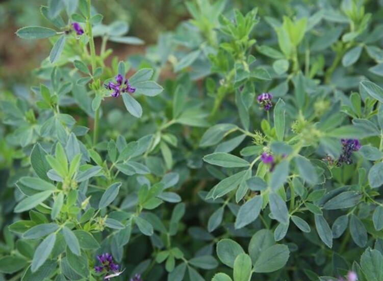 1646743151276967.jpg 2.jpg