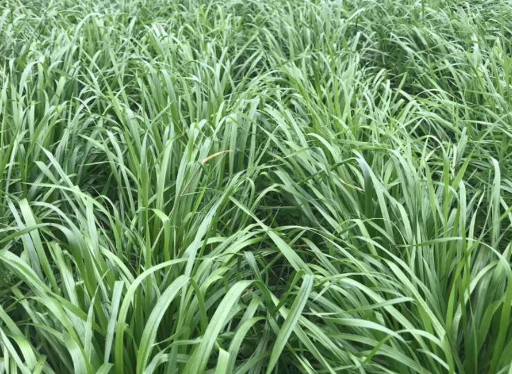 1646743175978392.jpg 3.jpg