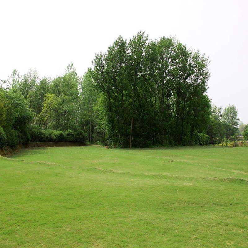 1647400824713718.jpg 1647400824713718.jpg