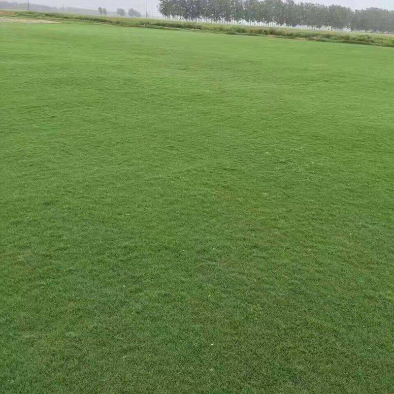 1647406836955931.jpg 1647406836955931.jpg