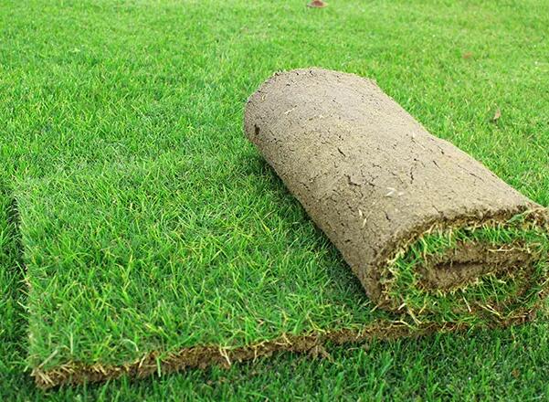 1647410480917102.jpg 1647410480917102.jpg