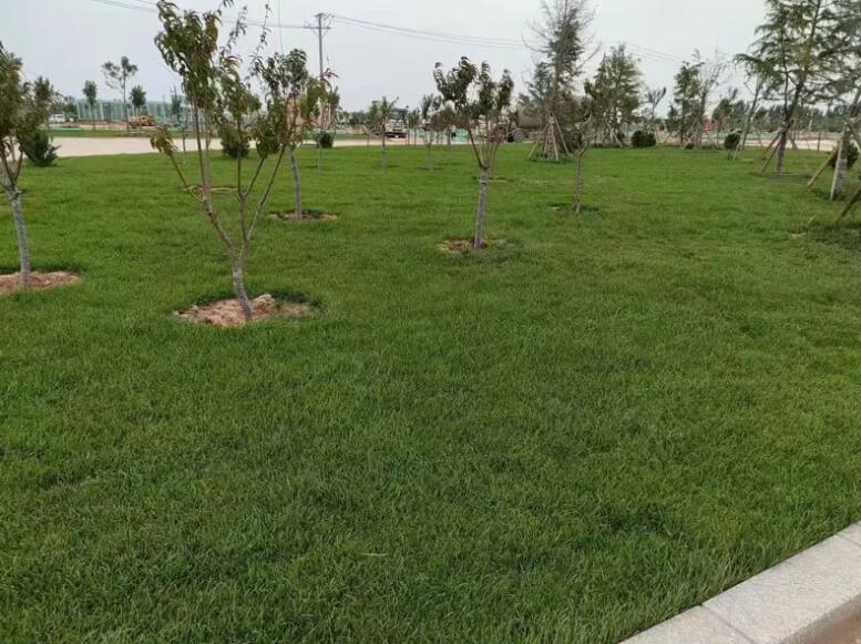 1647428214605429.jpg 1647428214605429.jpg