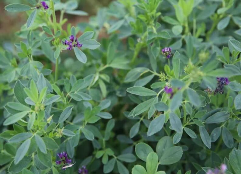 1647696554656415.jpg 1647696554656415.jpg