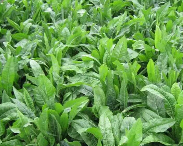 1647698300696915.jpg 1647698300696915.jpg