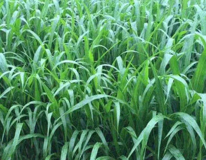 1647700428364765.jpg 3.jpg