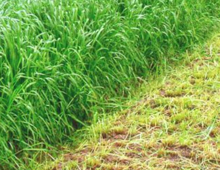 1647775960277971.jpg 2.jpg