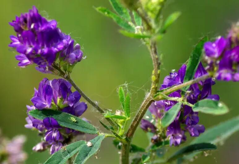 1647779017630501.jpg 2.jpg