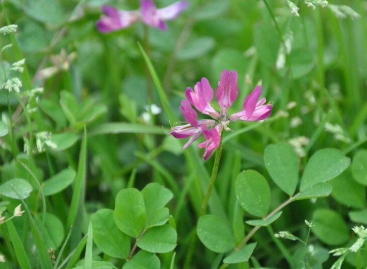 1647783212723550.jpg 1.jpg