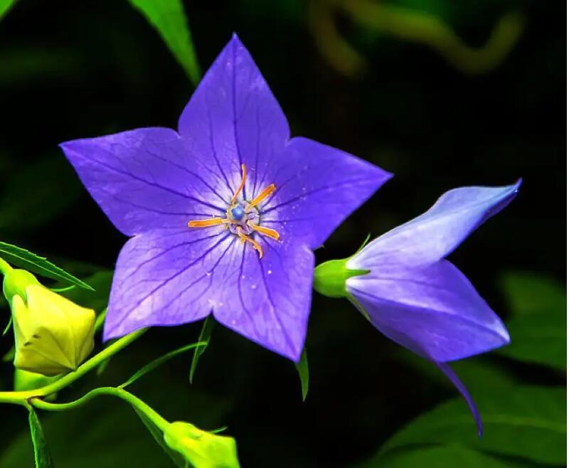 1648273827379878.jpg 1648273827379878.jpg