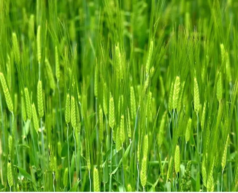 1649252429687598.jpg 1649252429687598.jpg