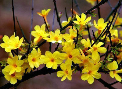 1649579835854387.jpg 1649579835854387.jpg