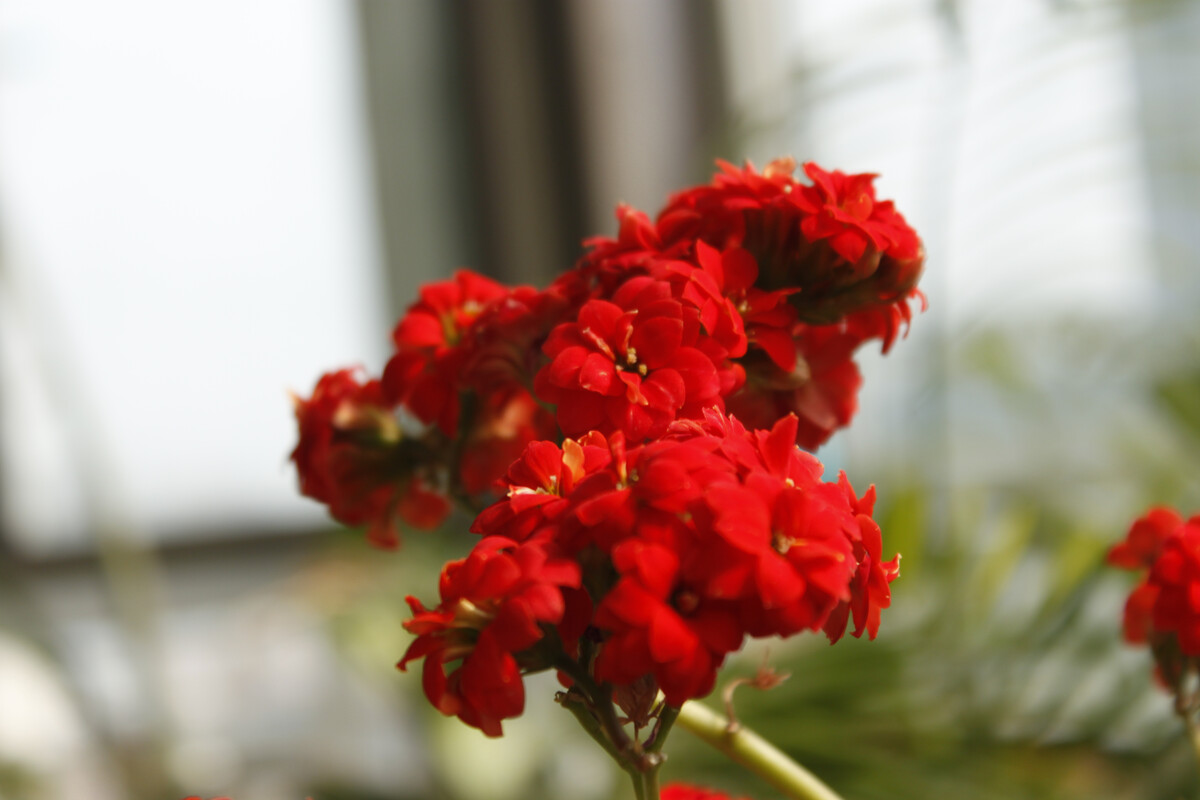 1649580236284332.jpg 1649580236284332.jpg