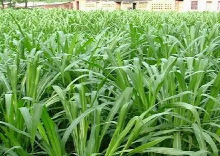 1649657641713835.jpg 2.jpg