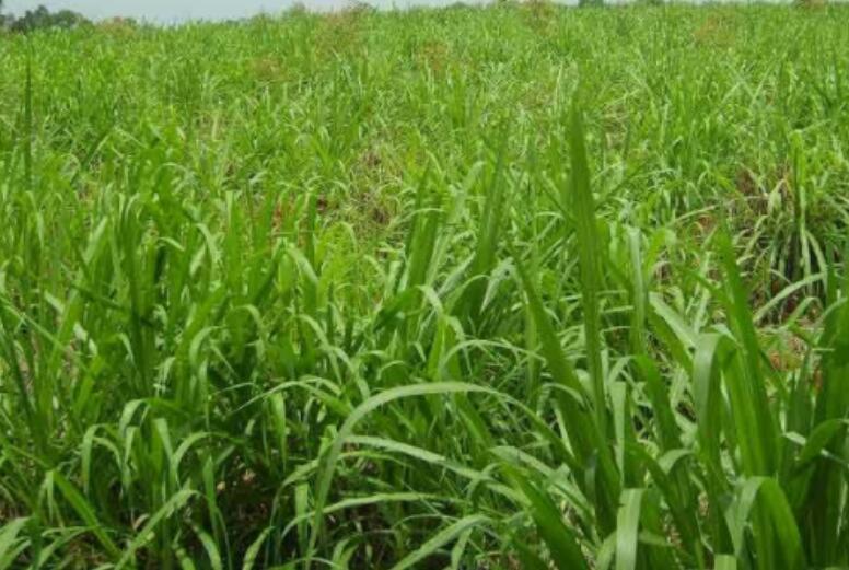 1649658347588892.jpg 3.jpg