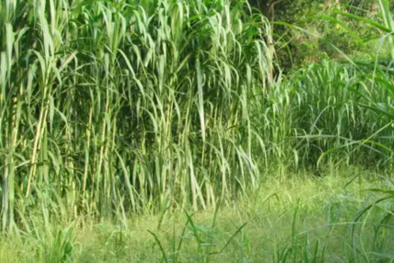 1649770449941953.jpg 3.jpg