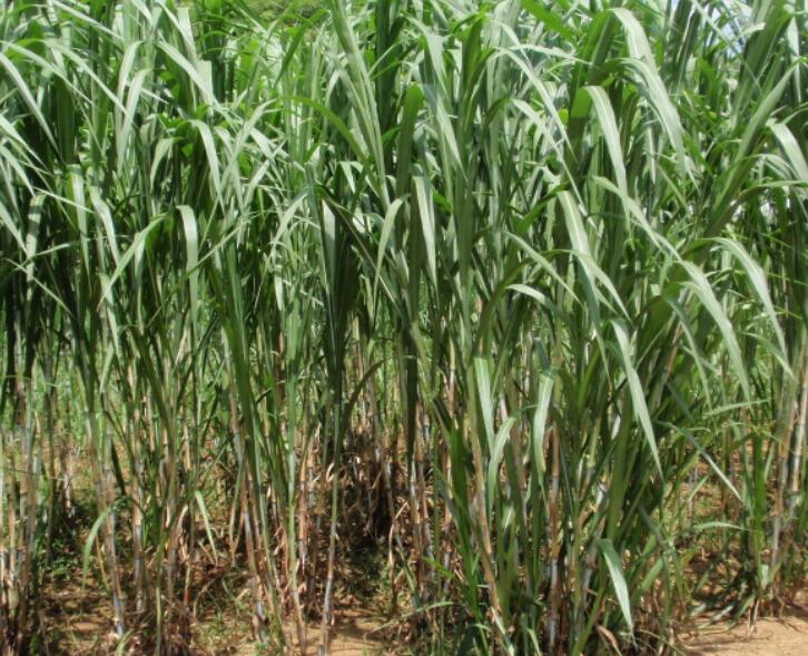 1650117650645134.jpg 1650117650645134.jpg