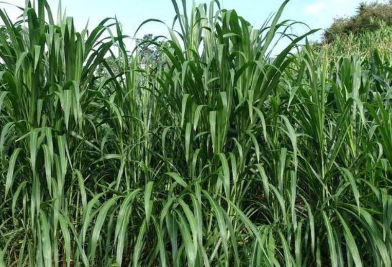 1650200876300153.jpg 3.jpg