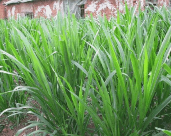 1650201038134170.jpg 1650201038134170.jpg