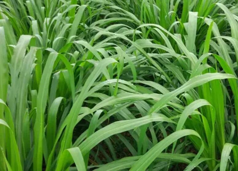 1650202891419671.jpg 3.jpg