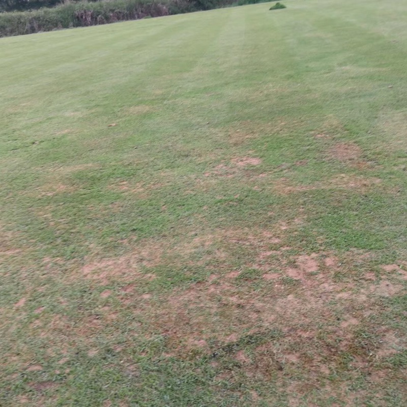 1650205277839573.jpg 1650205277839573.jpg