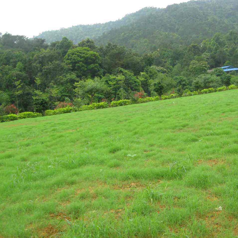 1650205676358329.jpg 6.jpg