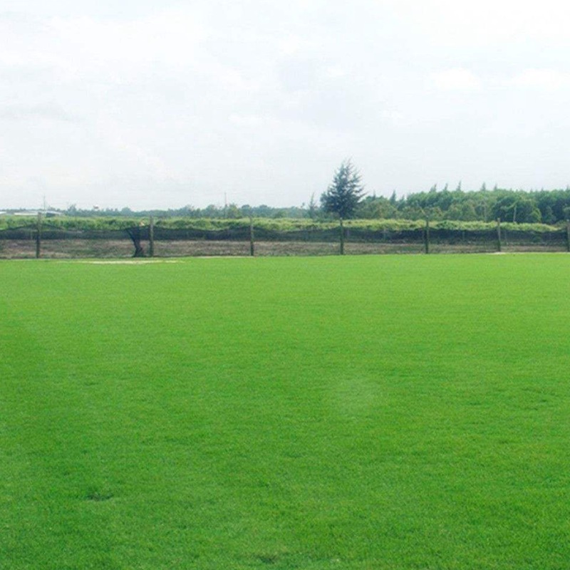 1650206993652982.jpg 1650206993652982.jpg