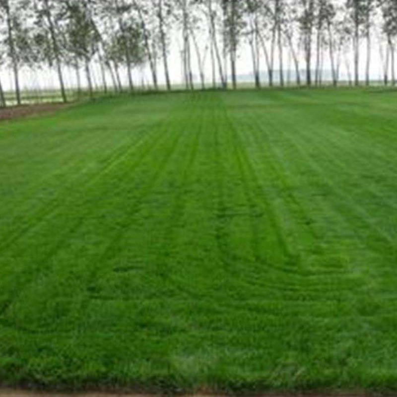 1650273209146674.jpg 1650273209146674.jpg