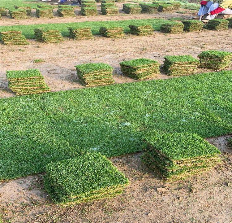 1650273868757280.jpg 1650273868757280.jpg