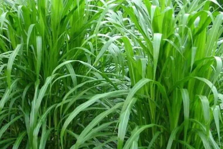 1650290763565210.jpg 1.jpg