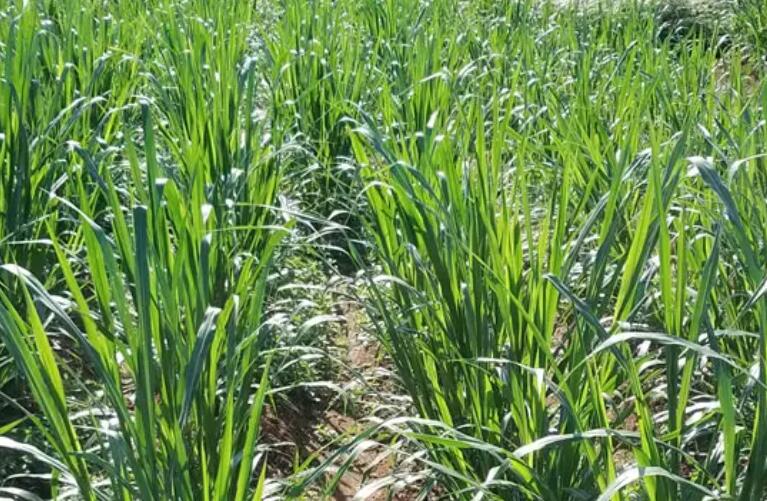 1650290772158087.jpg 2.jpg