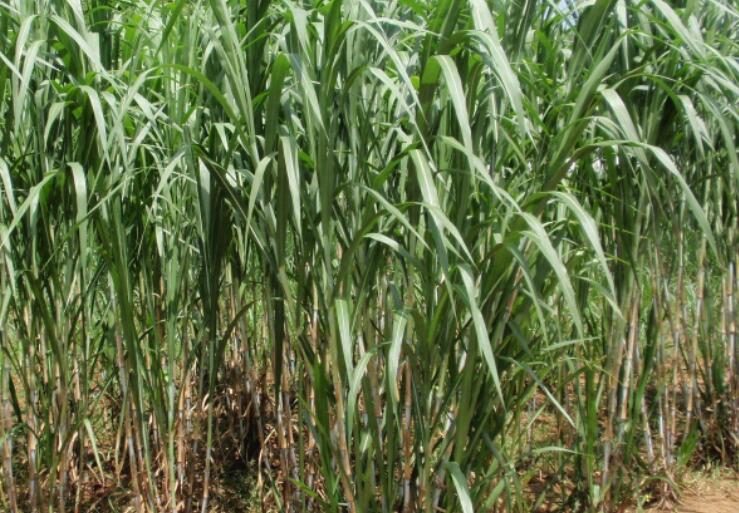 1650291578253210.jpg 3.jpg