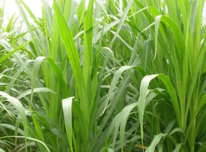 1650422670500247.jpg 1.jpg