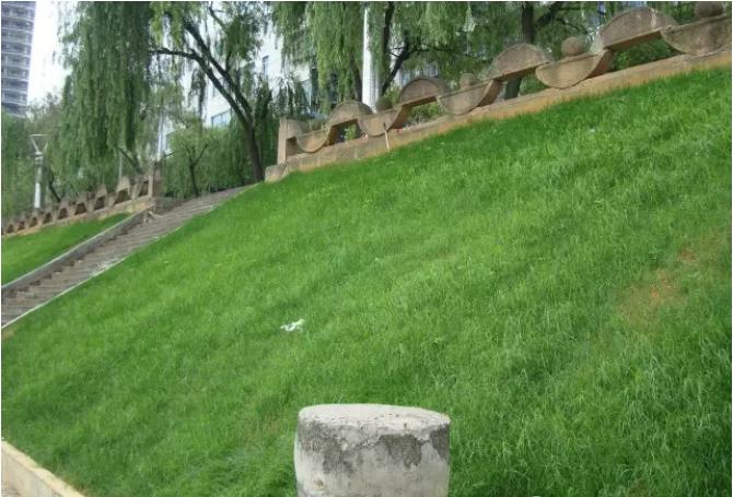 1653532220816862.jpg 1653532220816862.jpg