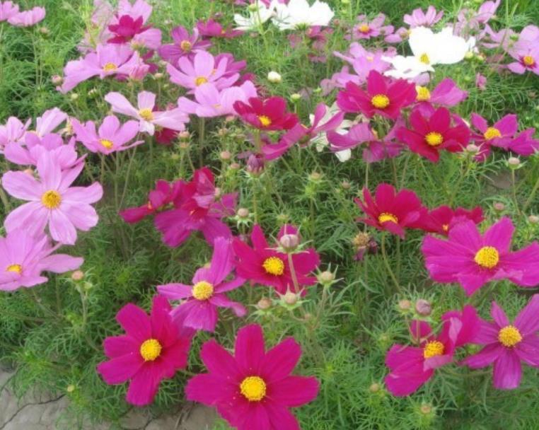 格?；?/></p><p style=