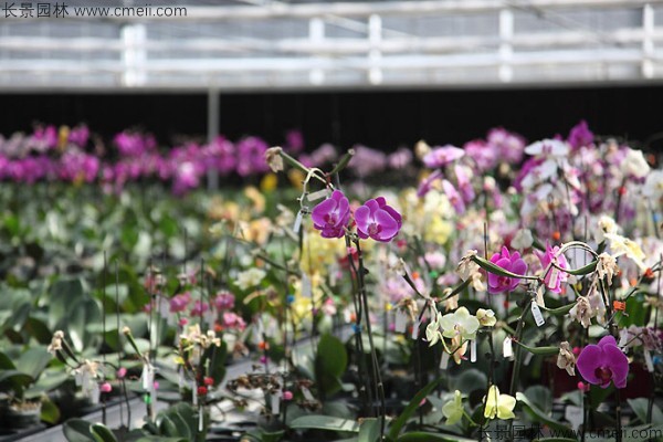 è??è????°?§???????è???°?è????????